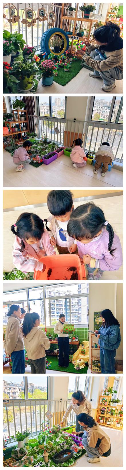 d8c42c83-ae9f-4d35-a2d7-51fcfff33d40.jpg